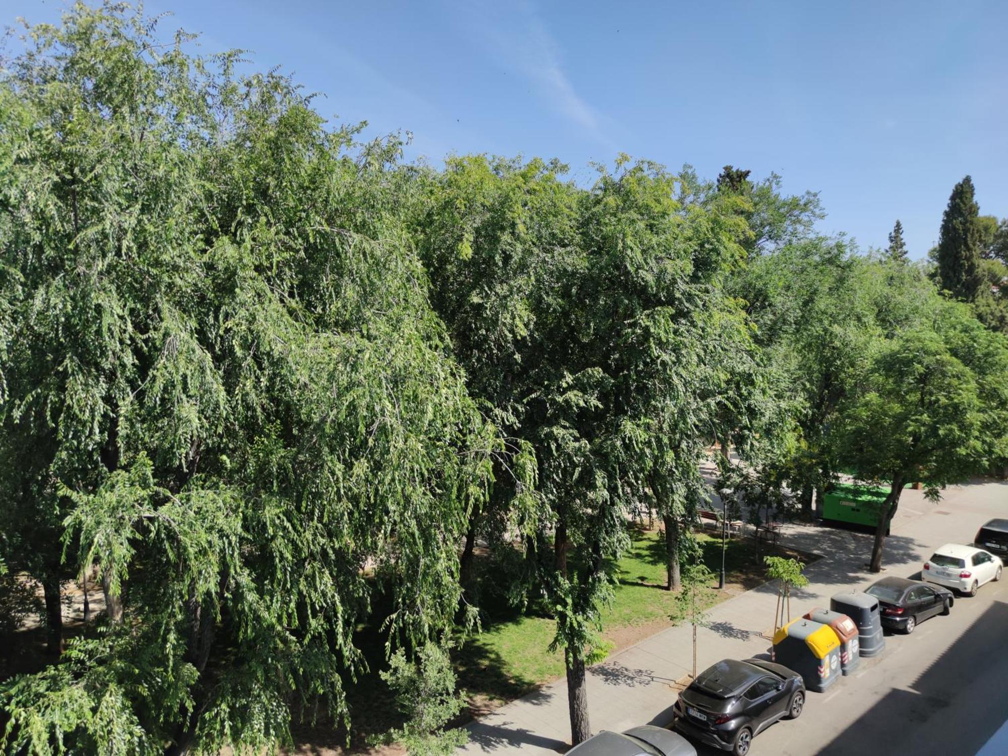 Familyhostelpinto Dış mekan fotoğraf